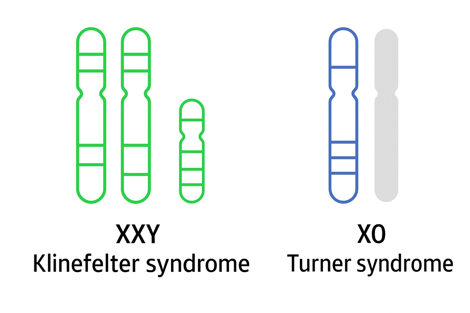 About X/Y Chromosome Disorders